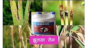 Boson -(HPM)