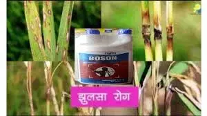 Boson -(HPM)