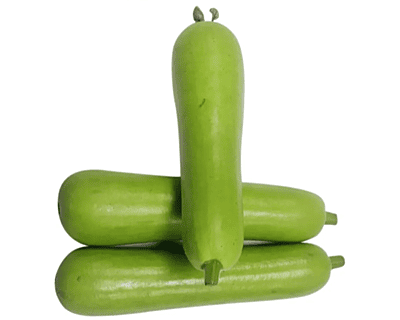 Bottle Guard Bottle Guard