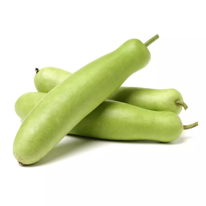 Sorakkai சுரைக்காய்