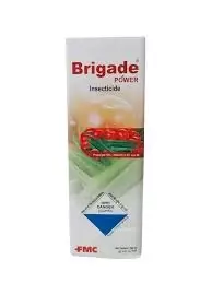 Brigade Power