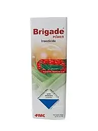 Brigade Power