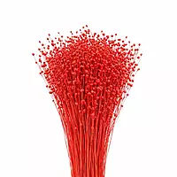 Red dried linum tishi grass bunch decorative dry flower sticks with seed pods for vase decor Red dried linum tishi grass bunch decorative dry flower sticks with seed pods for vase decor