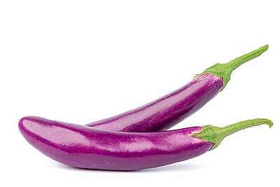 Tender Brinjal (Purple)