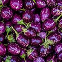 Purple round brinjals