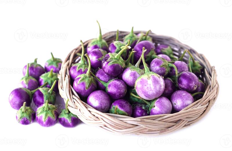 Purple round brinjals