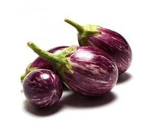 Brinjal (Chara)