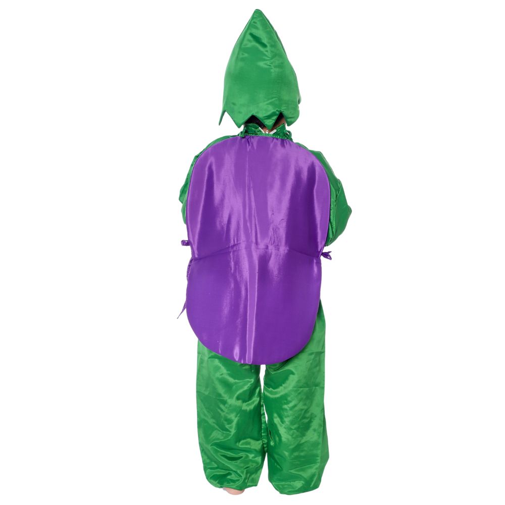 Brinjal Fancy Dress Costume