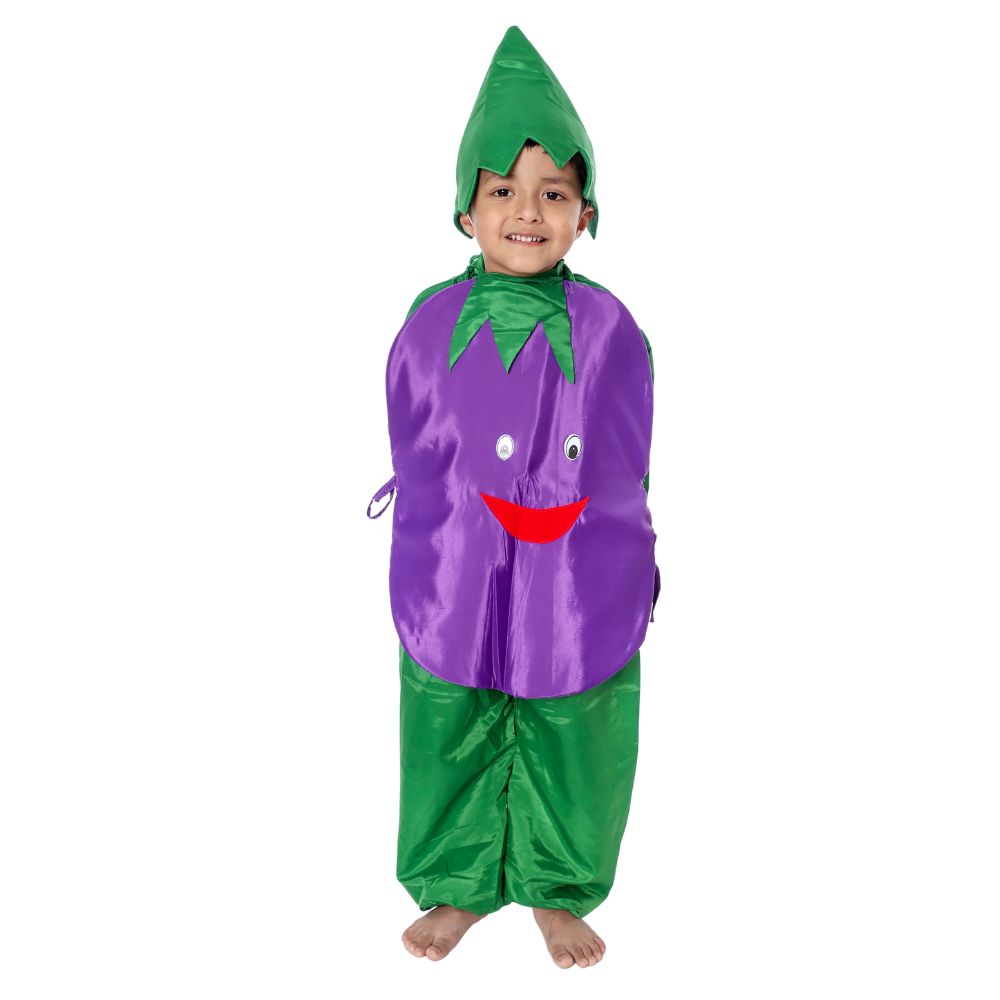 Brinjal Fancy Dress Costume