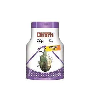Brinjal Kateri by Dharti Seeds