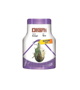 Brinjal Kateri by Dharti Seeds