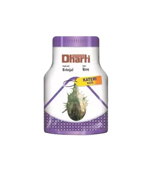 Brinjal Kateri by Dharti Seeds