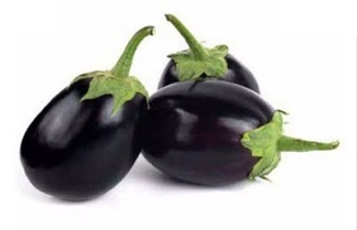 Brinjal Purple