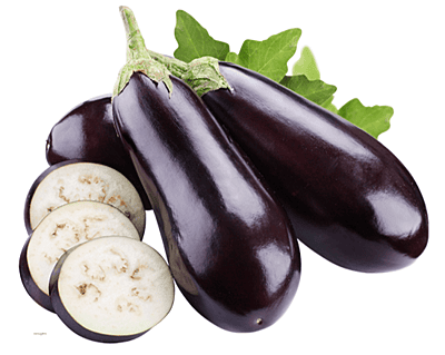 Brinjal Brinjal