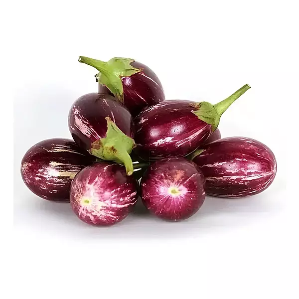 Brinjal கத்தரிக்காய்
