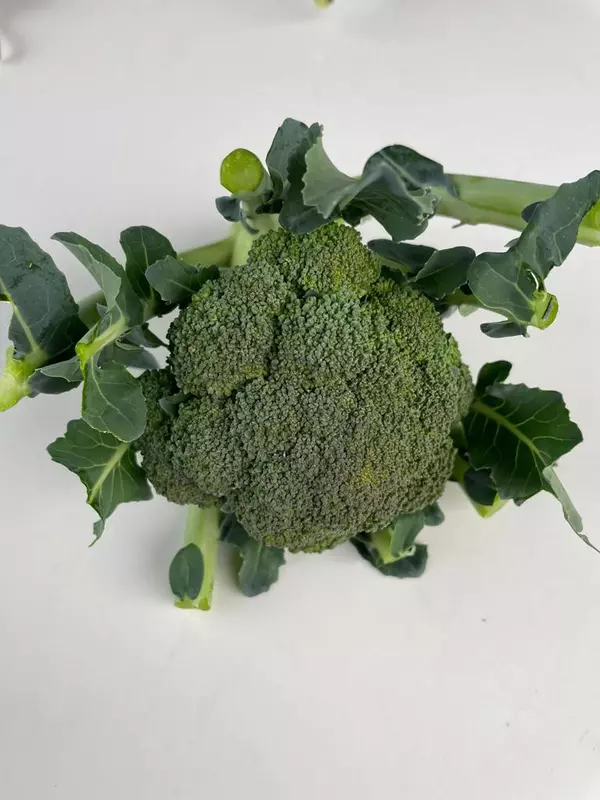 Broccoli 500gms