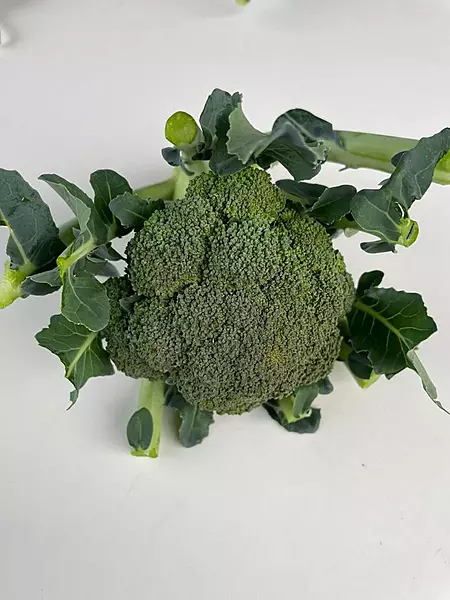 Broccoli 500gms - Delia
