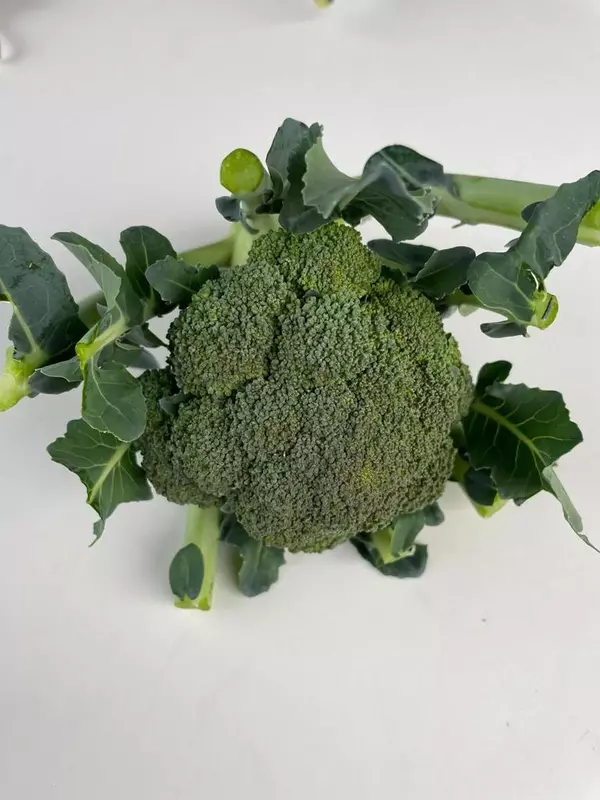 Broccoli 500gms - Delia