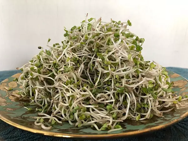 Broccoli Sprouts 20 gms - Love Green Life