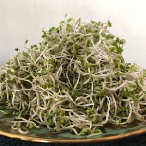 Organic Broccoli Sprouts 20 Gms