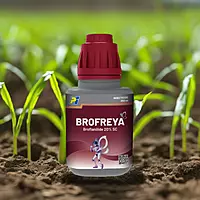 Brofreya by PI Industries