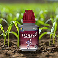 Brofreya by PI Industries