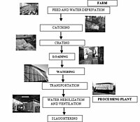 Farm-to-Processing Unit Transport Service