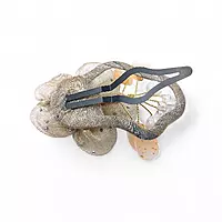 Elegant Brown Floral Beaded Organza Snap Clip