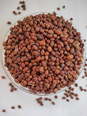 Brown Lobia | Bobbarlu