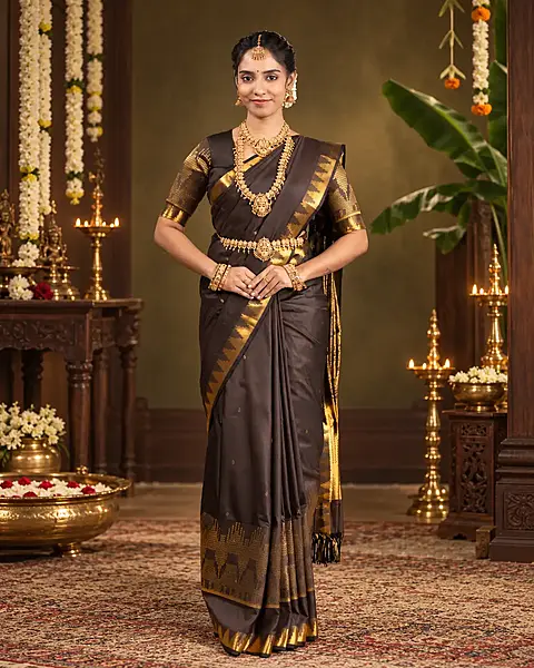 Heritage Imprints - Coffee Brown Saree