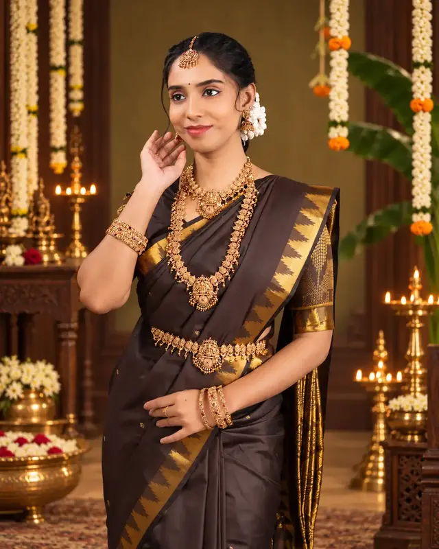Heritage Imprints - Coffee Brown Saree