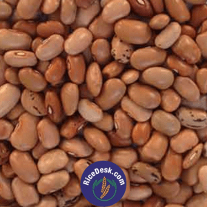 Lobia Brown | Bobbarlu Lobia Brown | Bobbarlu