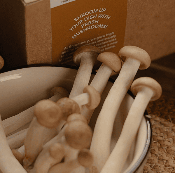 Brown Shimeji Mushrooms 200 Gms