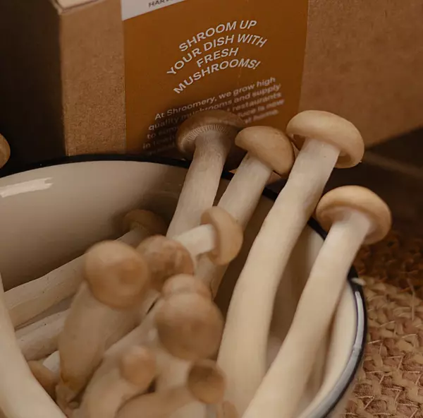 Brown Shimeji Mushrooms 200 Gms