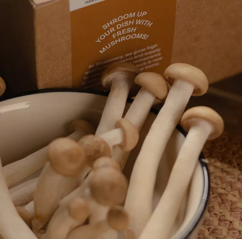 Brown Shimeji Mushrooms 200 Gms