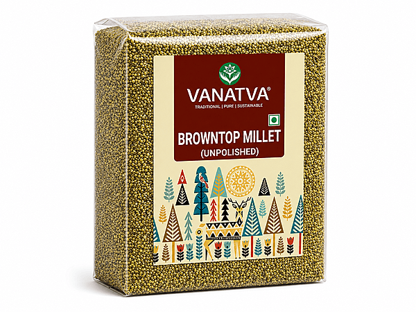 Browntop Millet