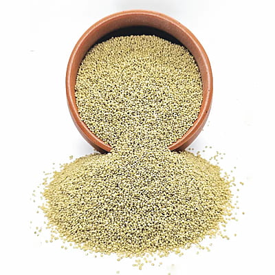 Organic Browntop Millet Organic Browntop Millet