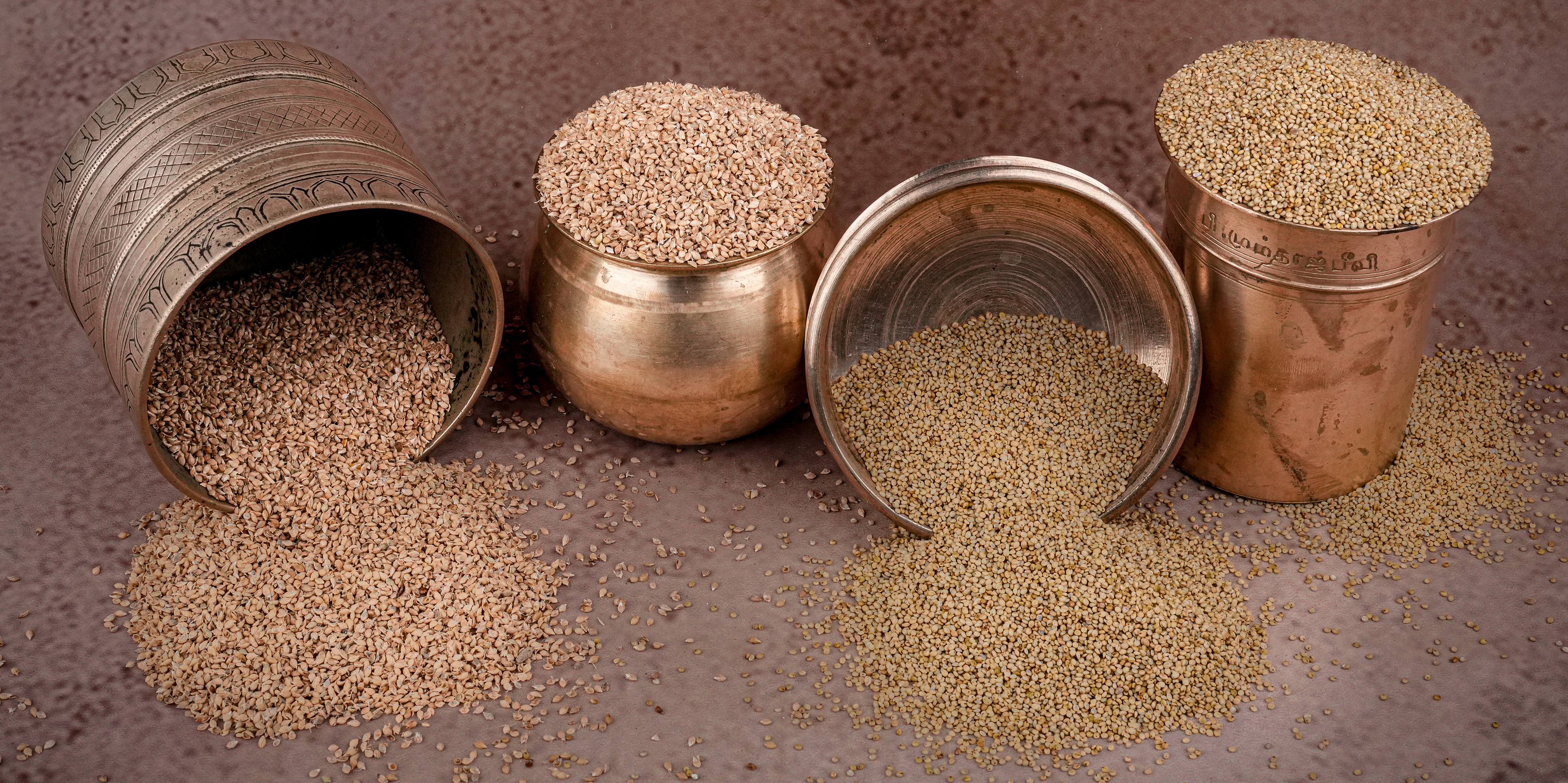Browntop Millet