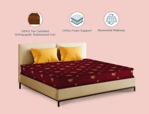 Centuary Bubble Coir Mattress