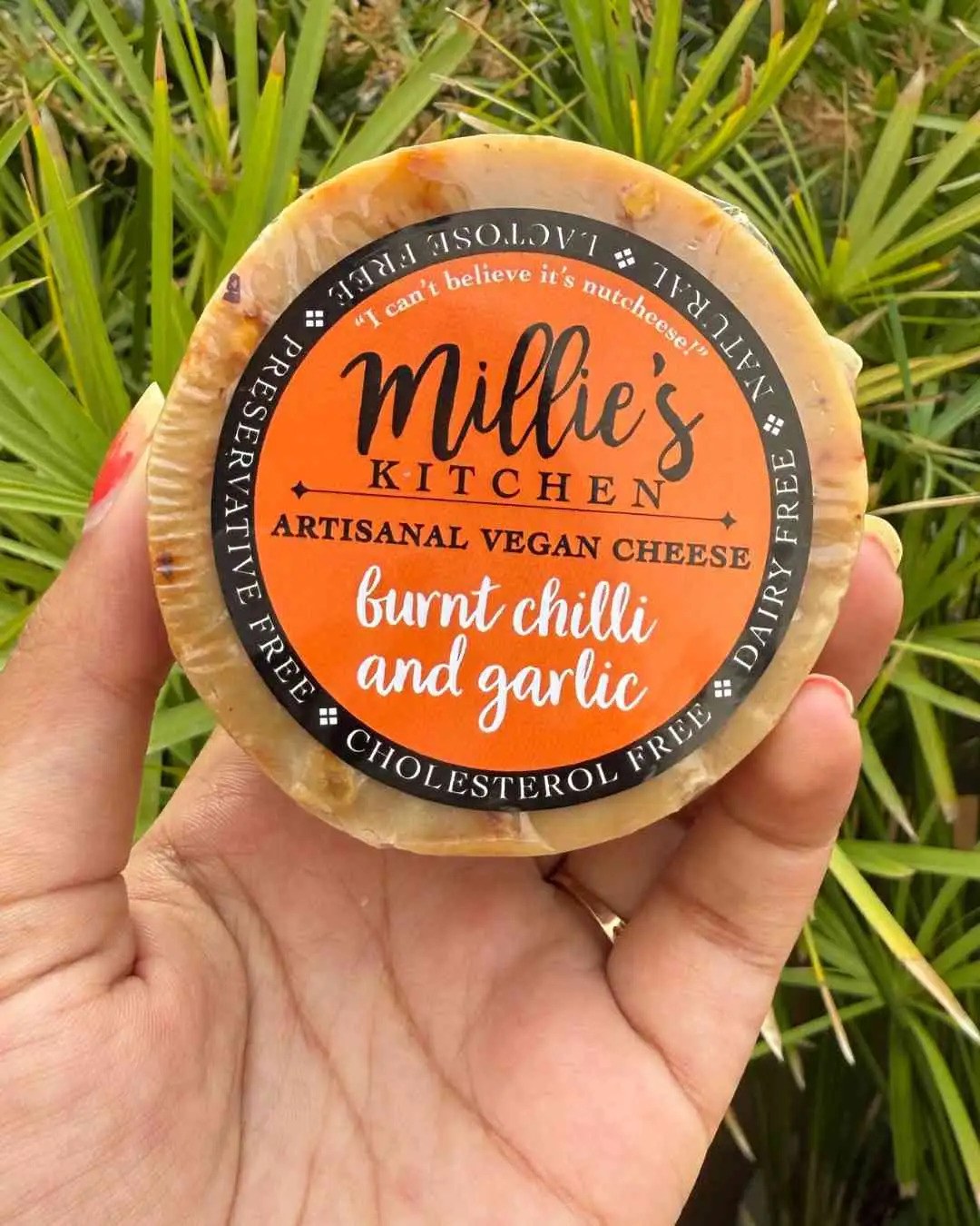 Burnt Red Chili and Garlic Wheel Hard Cheese - Vegan