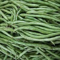 Farm-fresh bush beans
