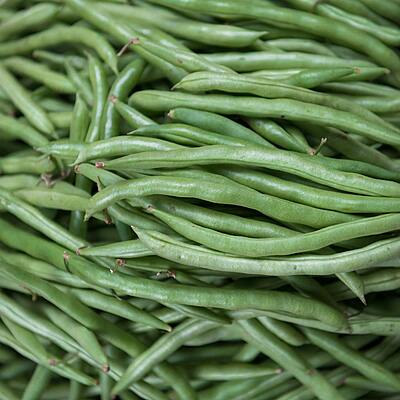 Farm-fresh bush beans