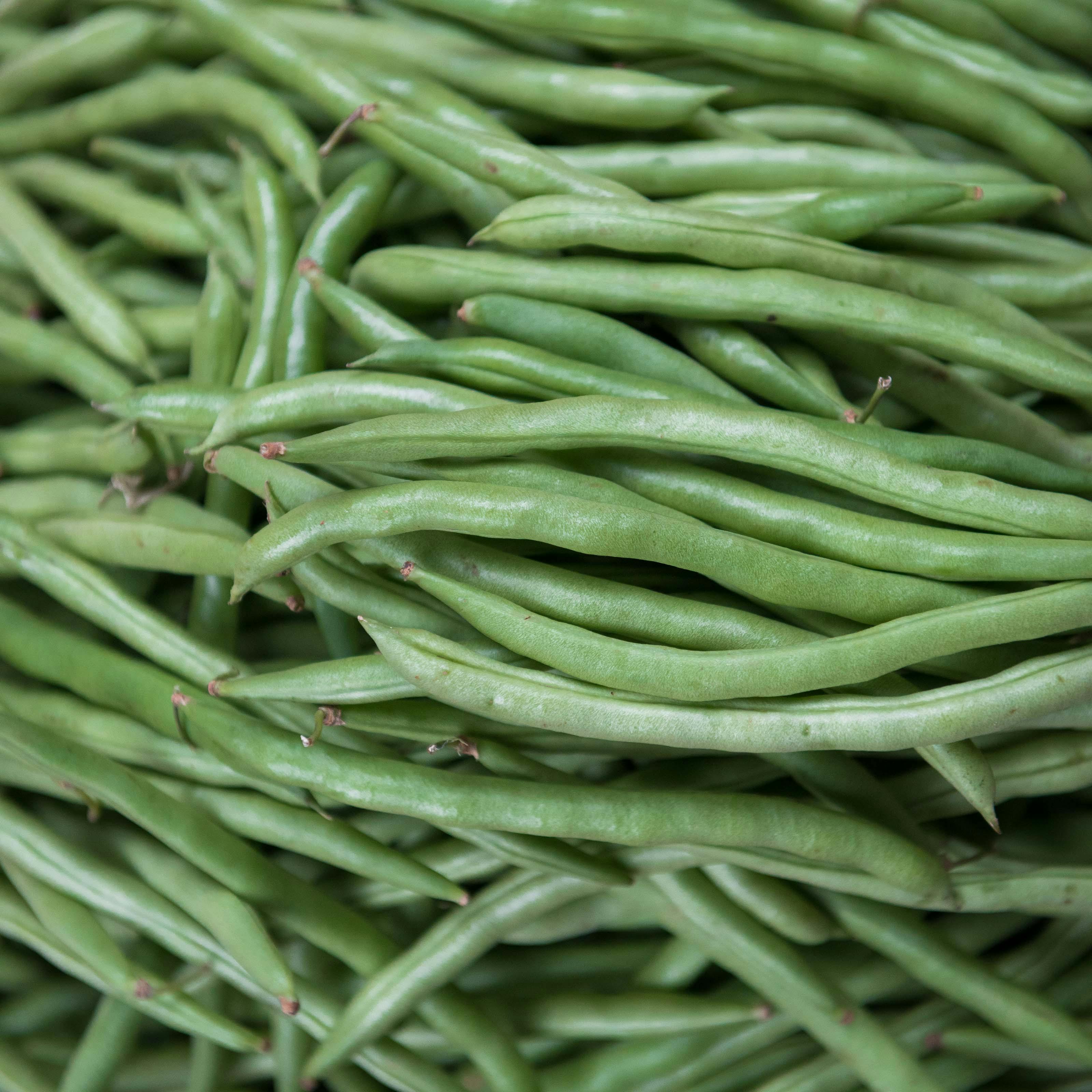 Farm-fresh bush beans
