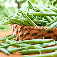 Farm-fresh bush beans