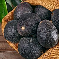 Butterfruit (Hass) – Creamy, Nutritious & Naturally Grown