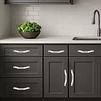 Palam SS Cabinet Handle Coral (TT) Series 4",6"