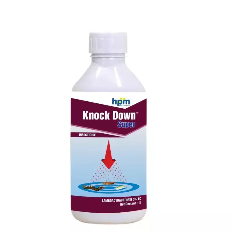 Knock Down Super -(HPM)