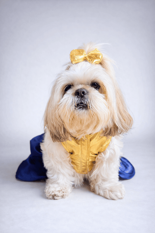 Golden Blue Party Dress