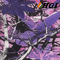 CA24-1M Width Transfer Printing Film