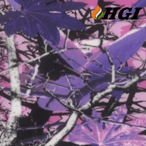 CA24-1M Width Transfer Printing Film